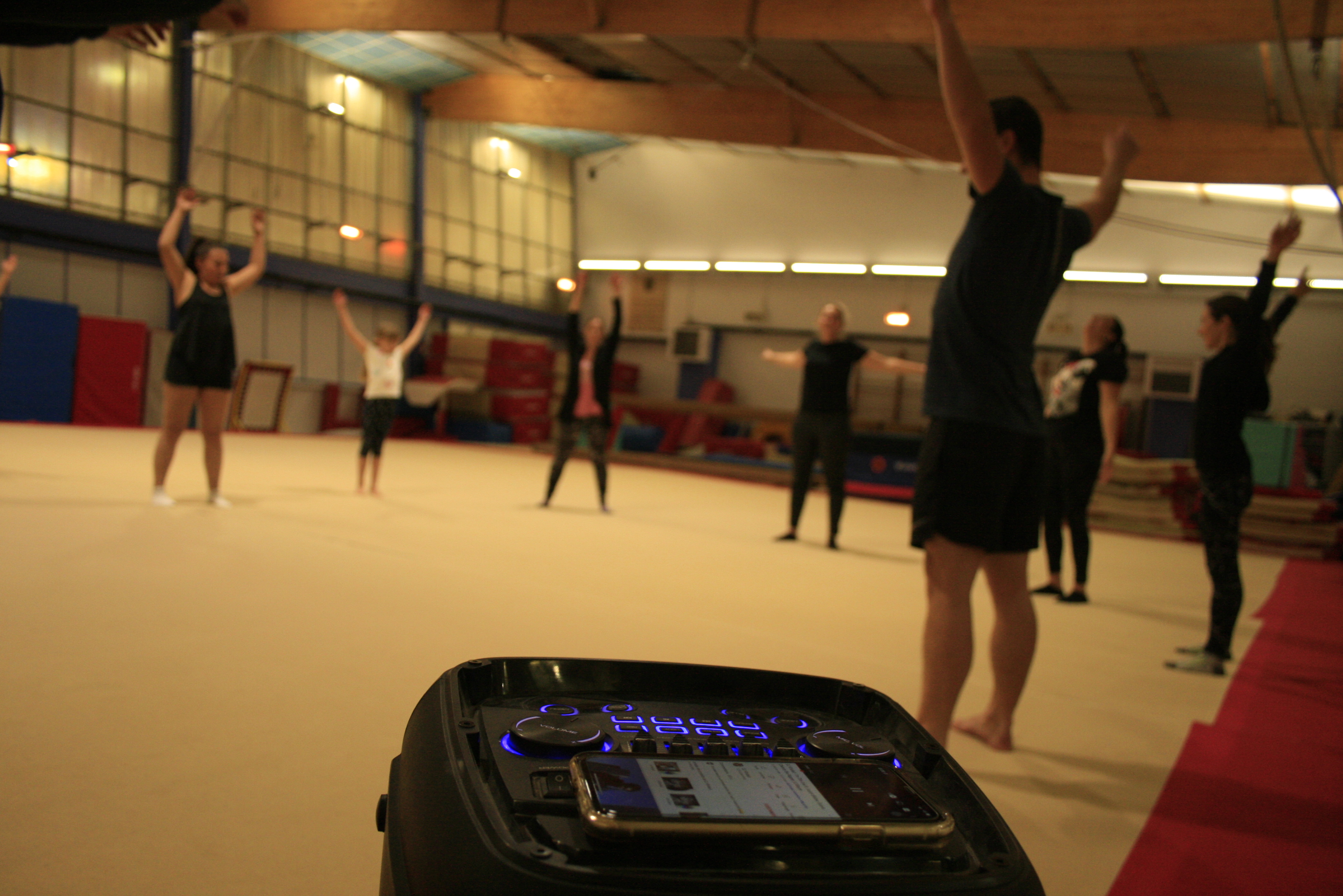 Fédération Du Stade Laurentin Stade Laurentin Gymnastique Artistique Remise En Forme Pour 8437